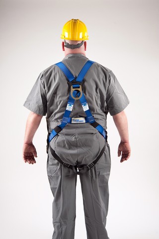 Rigid Lifelines® Fall Protection - Harness System - Back Picture